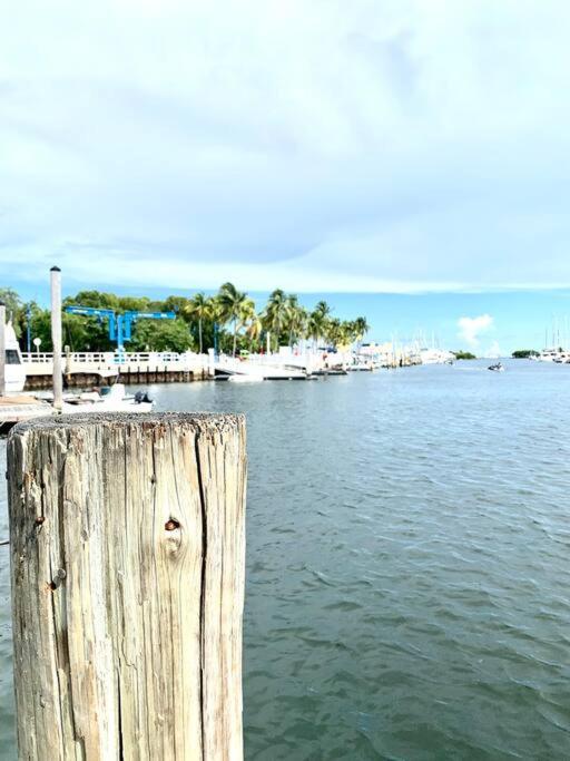 Groveo5 10 Minutes From Miami Beach Exterior foto